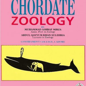 chordate-zoology-800x640