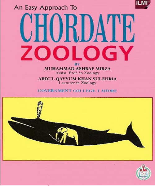 chordate-zoology-800x640