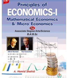 mathematical and micro economics