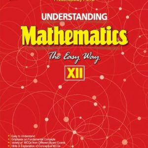 understanding mathematics