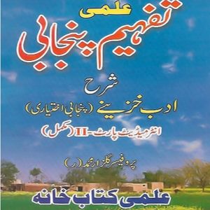 Tafheem Punjabi Sherah-e-Adab Khazeenai