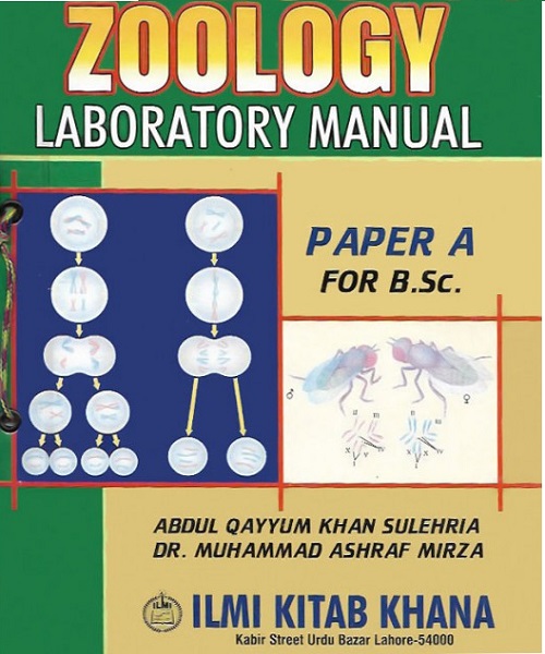 zoologyt-NB-paper-A-800x640