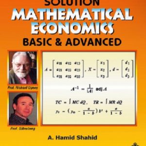 Solution Mathematical Economics Hamid