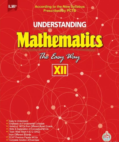 understanding mathematics